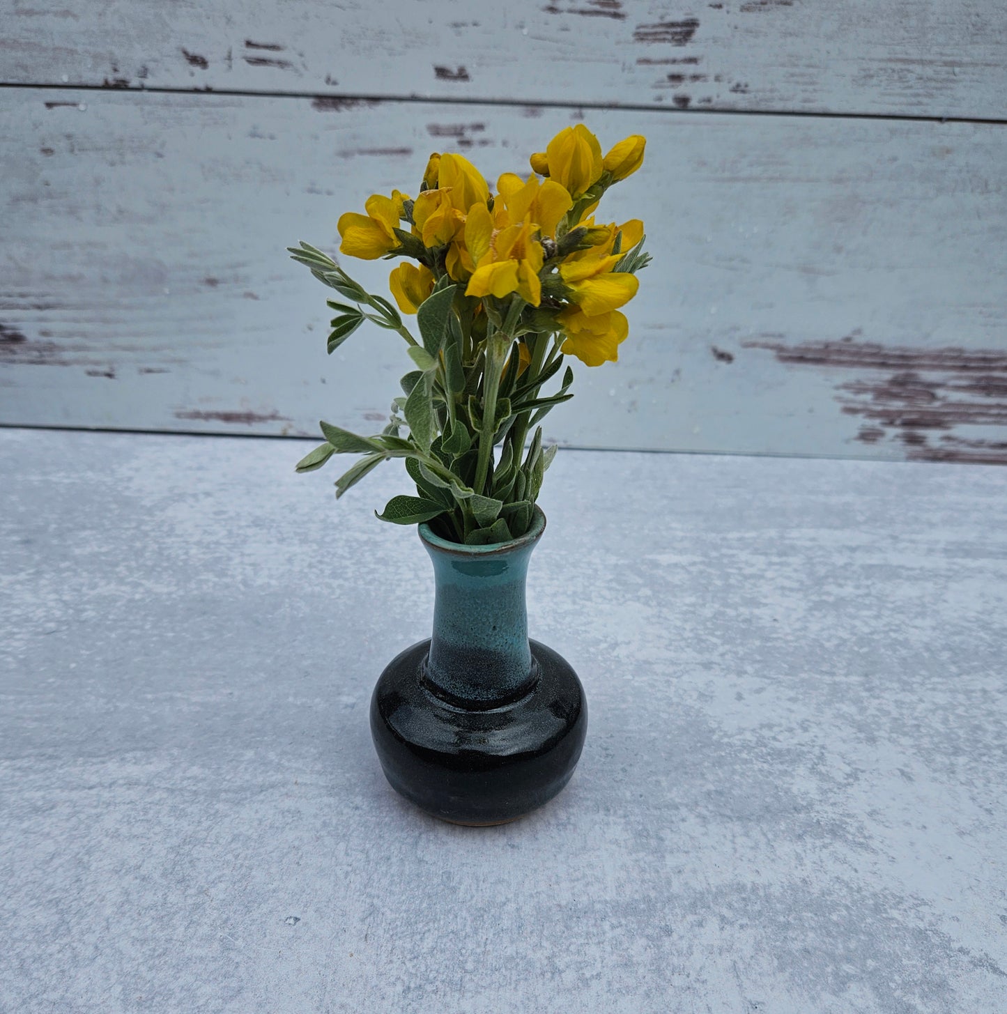 Bud Vase 》Black Turquoise