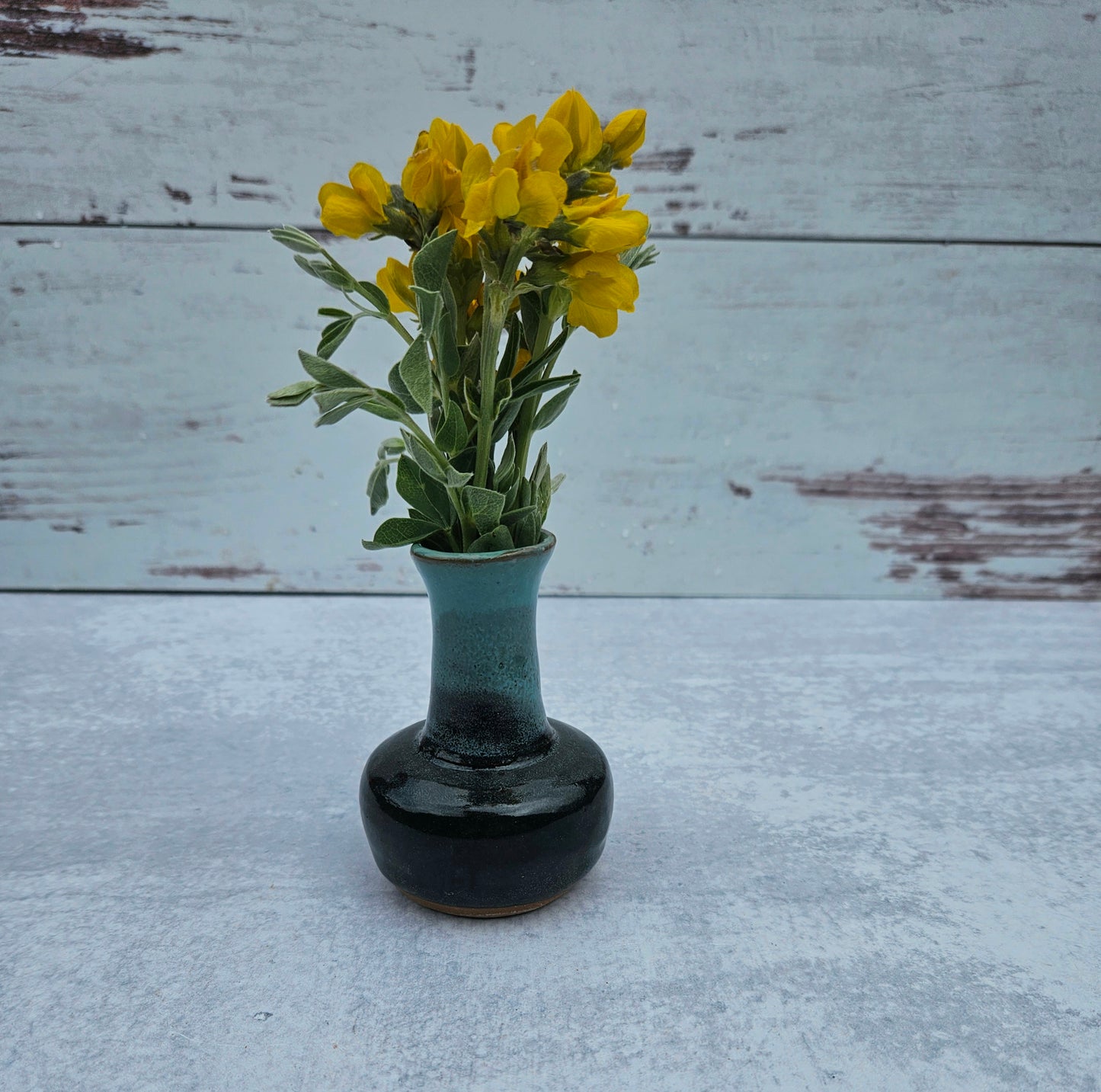 Bud Vase 》Black Turquoise